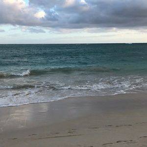 Meet your Posher, Priscilla